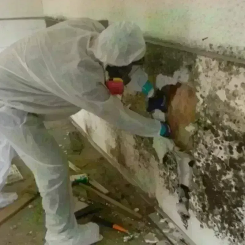 Mold Remediation and Removal in Bennington, VT